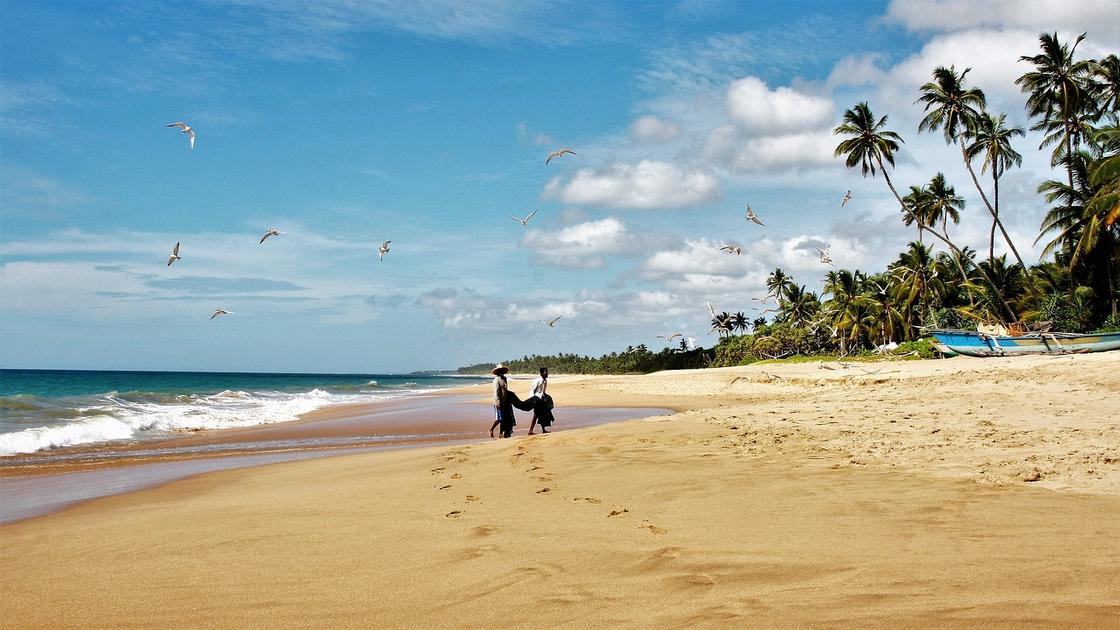 Шри-Ланка отдых: информация для туристов и отзывы
