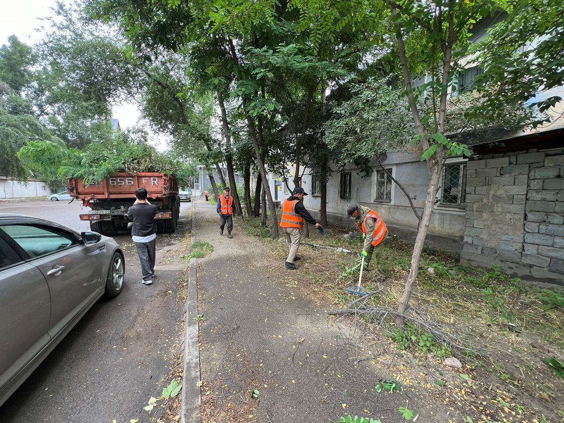 Общегородской экологический субботник в Алматы