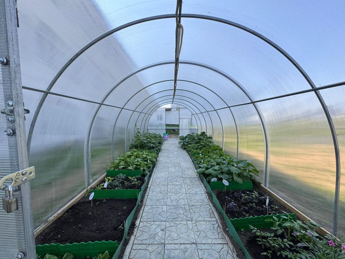 "Зеленая лаборатория"