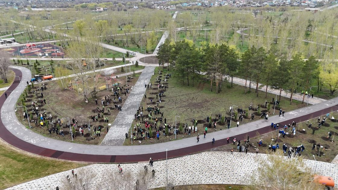 Участники экомероприятия