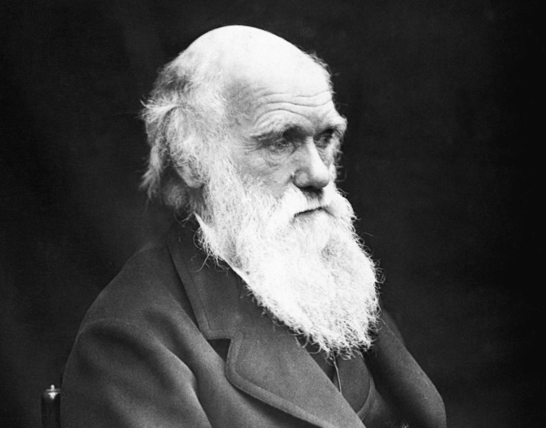 Чарльз Дарвин сидит на стуле