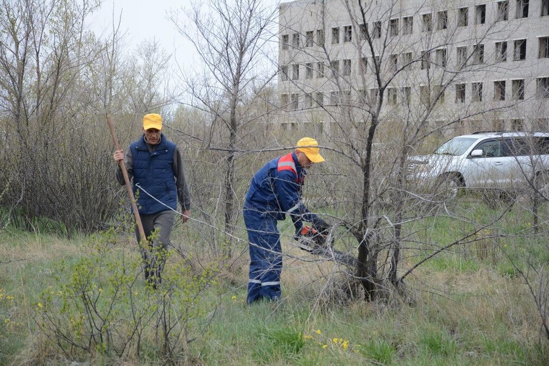 Субботник в городе Курчатов