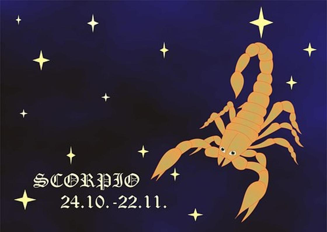 Гороскоп здоровья на ноябрь 2019 года для всех знаков зодиака Гороскоп здоровья на ноябрь 2019 года для всех знаков зодиака
