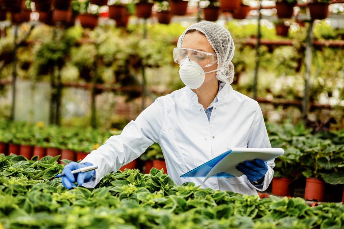 Женщина-агроном проверяет качество сельхозпродукции и делает записи на бумаге