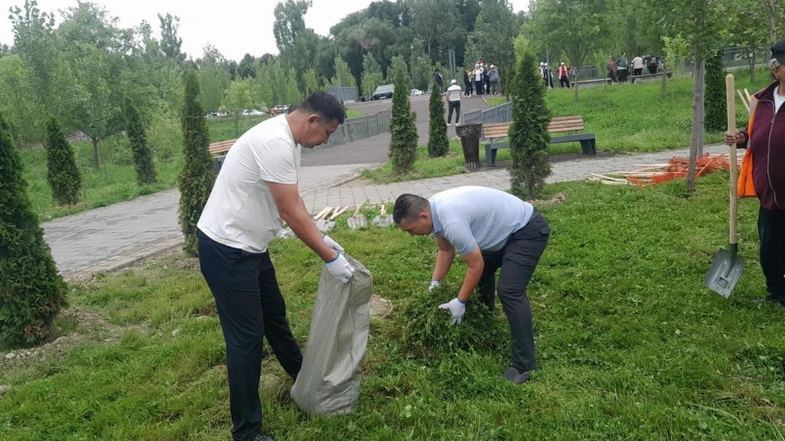Общегородской экологический субботник в Алматы