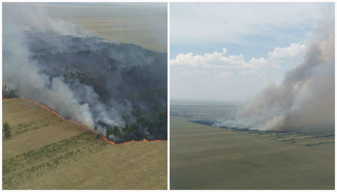 Крупный лесной пожар вспыхнул из-за грозы в Павлодарской области (фото, видео)