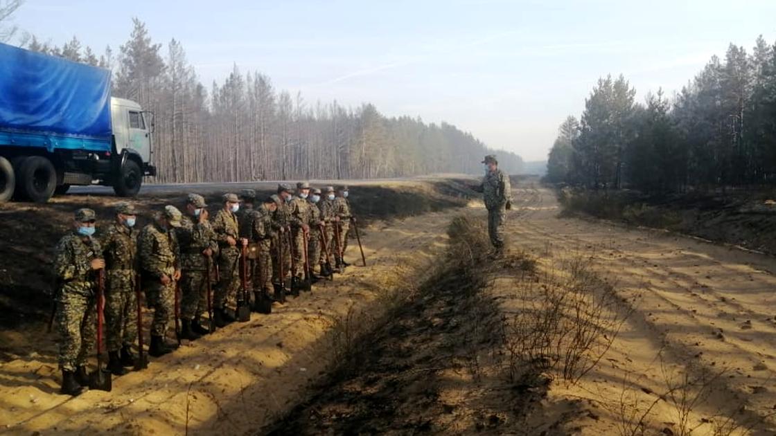 Гвардейцы у лесополосы