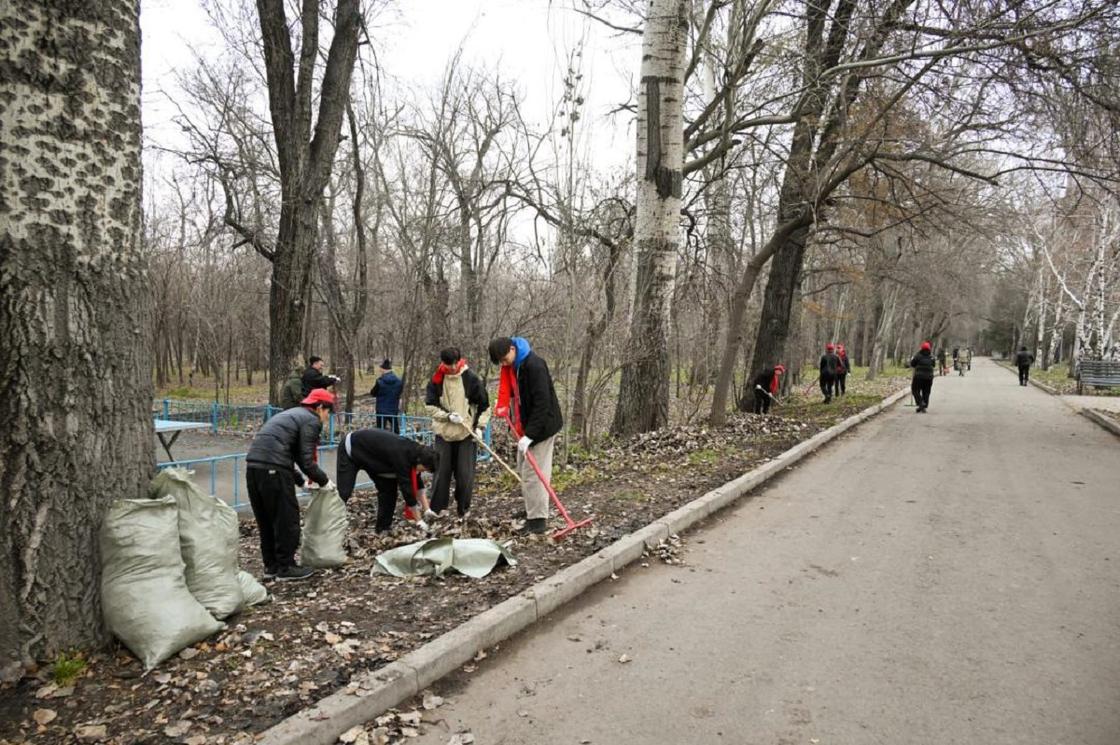 Уборка в роще Баума