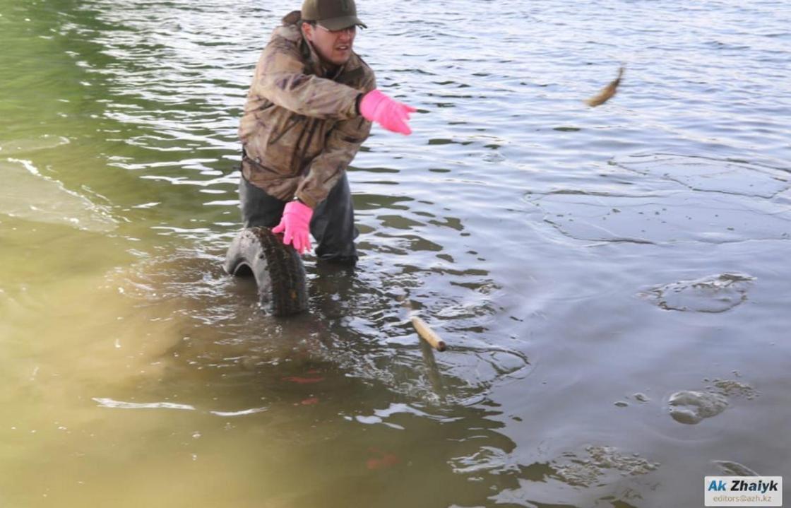 Жителям Атырау пришлось собирать мертвую рыбу на берегу Урала