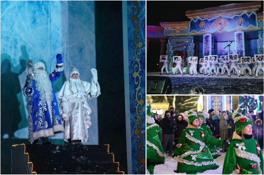 Главную новогоднюю елку зажгли в СКО