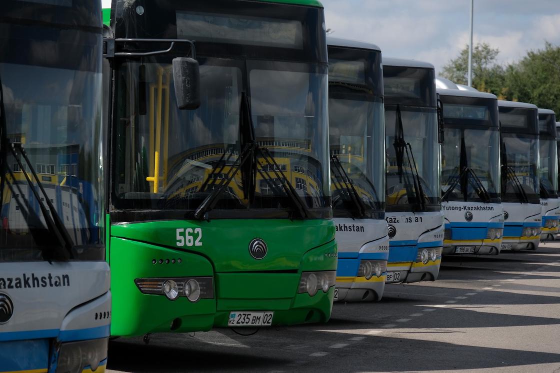 Припаркованные автобусы