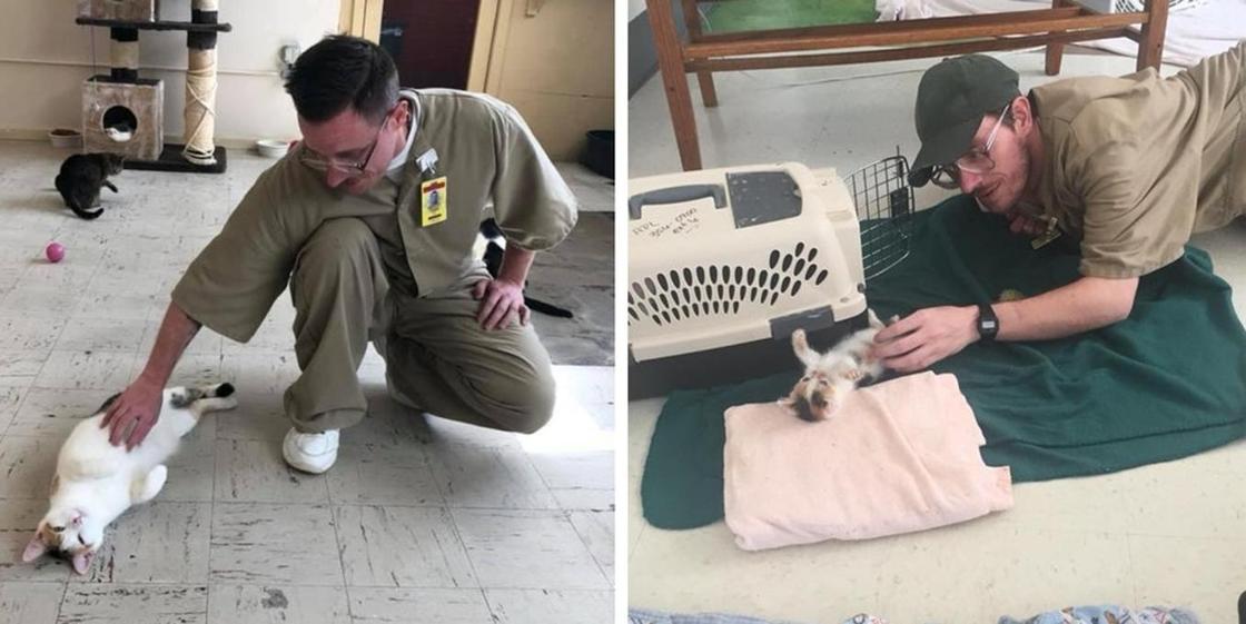 12 фото заключенных, которых решили перевоспитать с помощью бездомных котов
