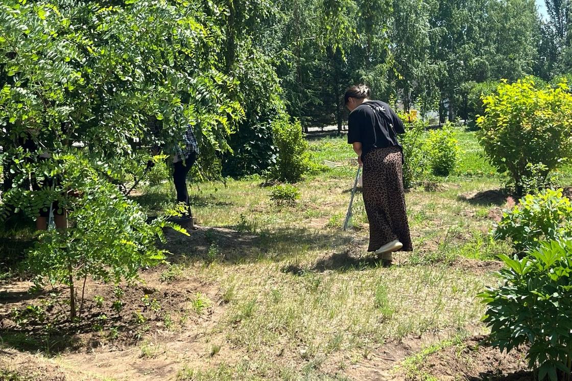 Субботник Субботник