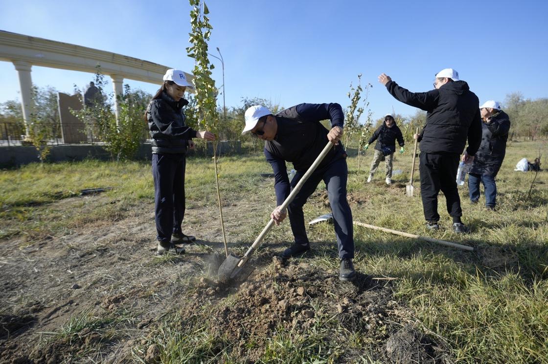 Ұлытау облысында 3000-нан аса ағаш отырғызылды