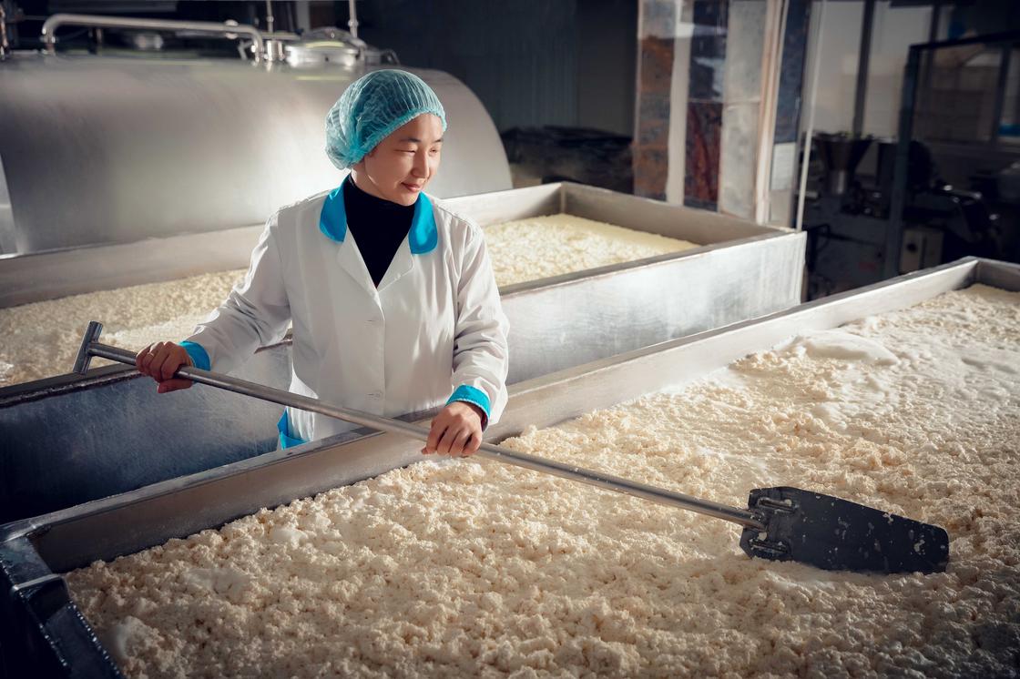 Молоко, сметана, творог: компания из Караганды в 8 раз увеличила производство