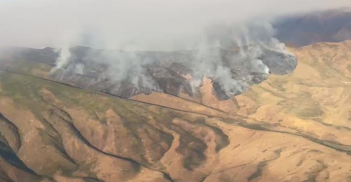 Пожар в горах Жамбылской области