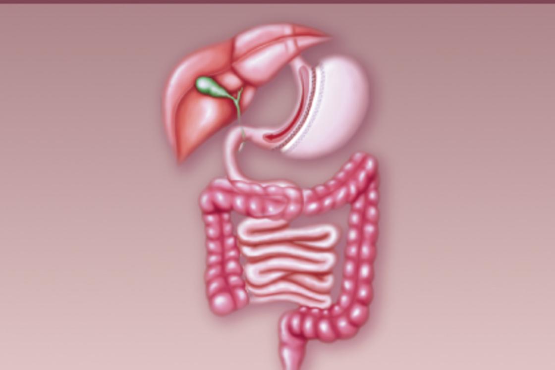 Изжога: причины, лечение и профилактика Изжога: причины, лечение и профилактика