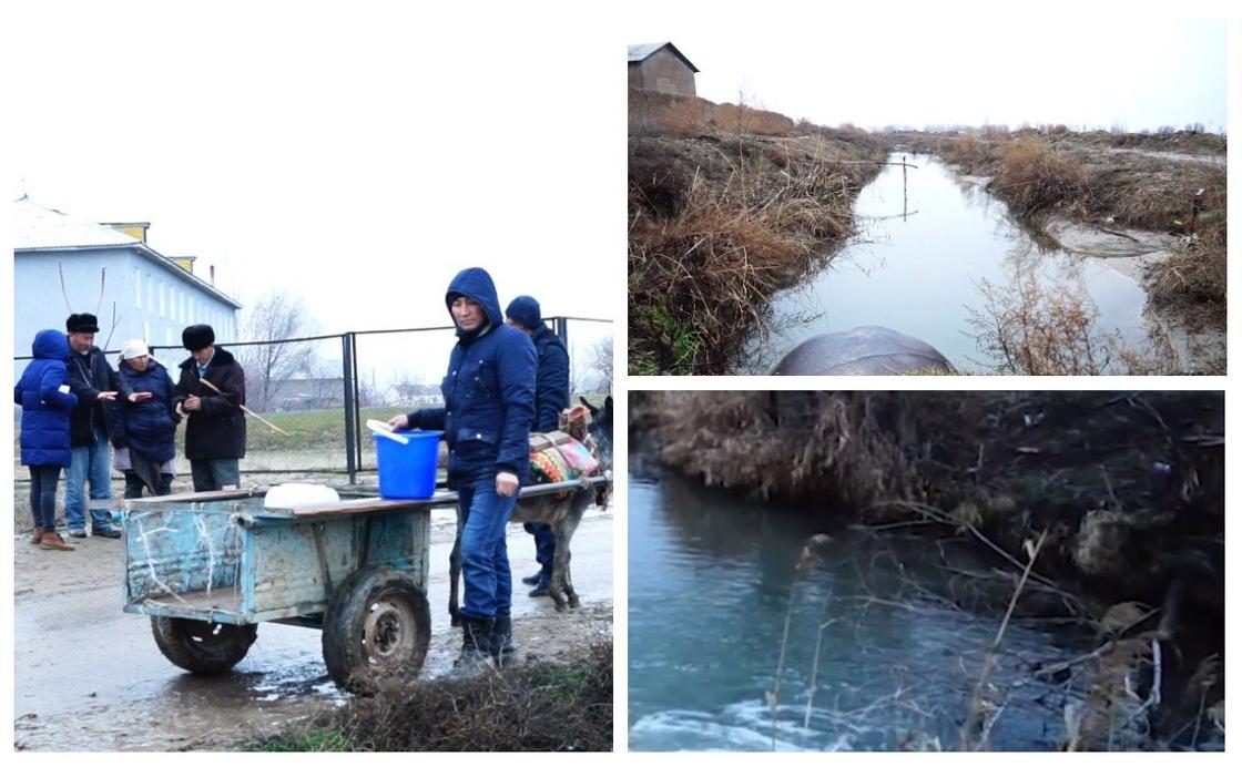 В Туркестане сельчане вынуждены пить арычную воду с трупами (видео)