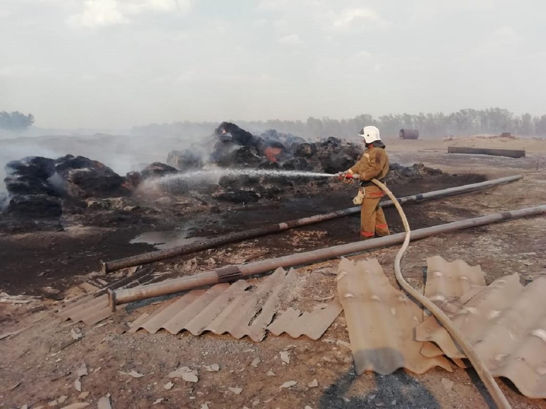 Крупный лесной пожар едва не уничтожил село в ЗКО (фото, видео)