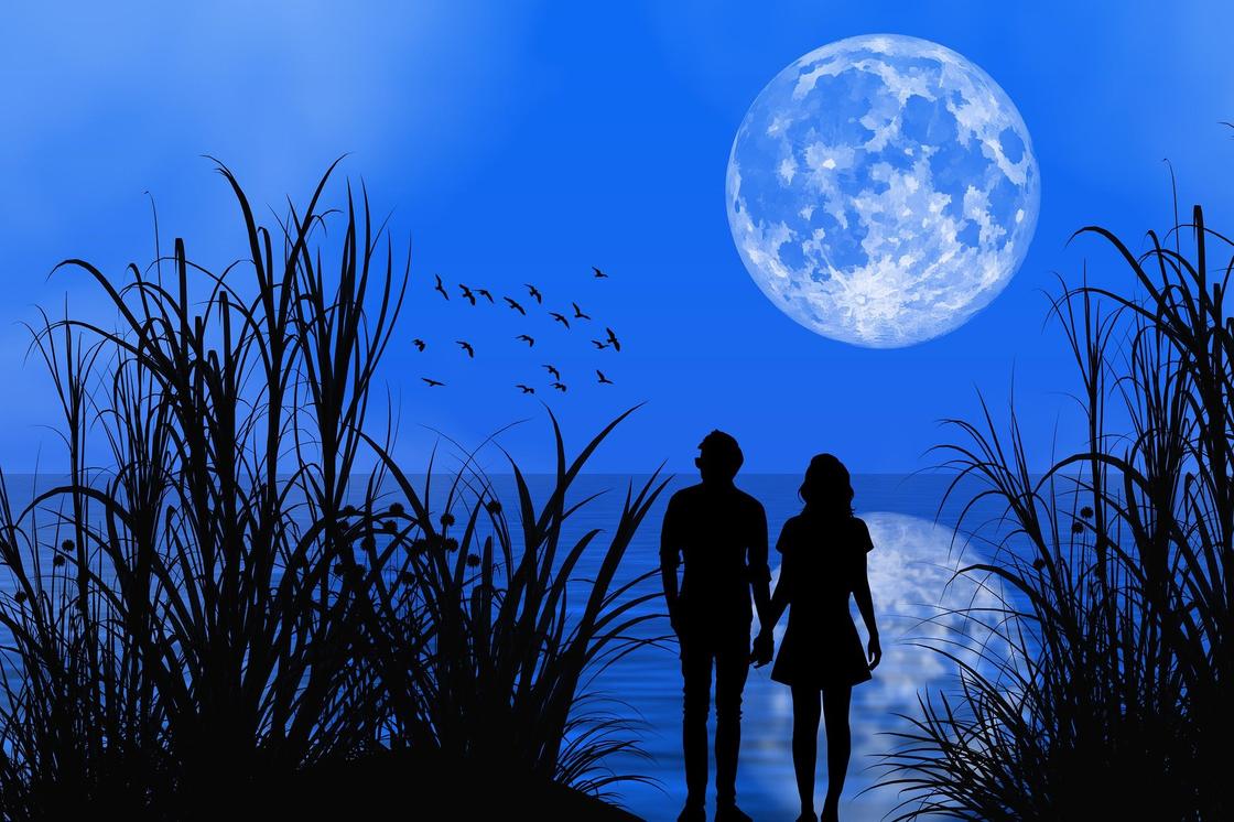 Пара на берегу смотрит на полную Луну