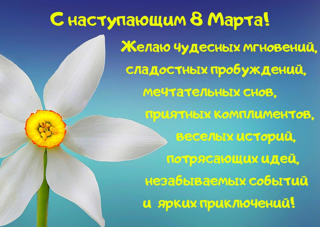 с наступающим праздником весны. Смотреть фото с наступающим праздником весны. Смотреть картинку с наступающим праздником весны. Картинка про с наступающим праздником весны. Фото с наступающим праздником весны