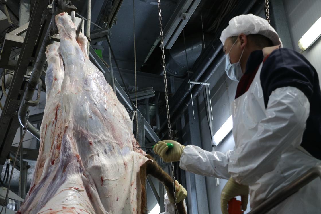 Столичный мясокомбинат отправляет на экспорт в Иран первую партию говядины