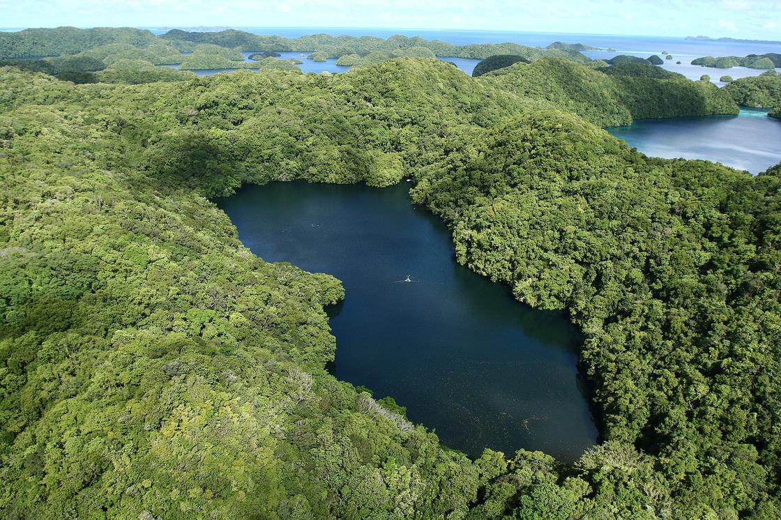 Вид с высоты на озеро Медуз в Палау