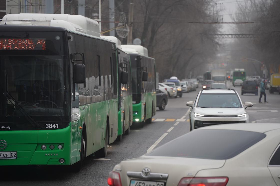 Автобусы припаркованы