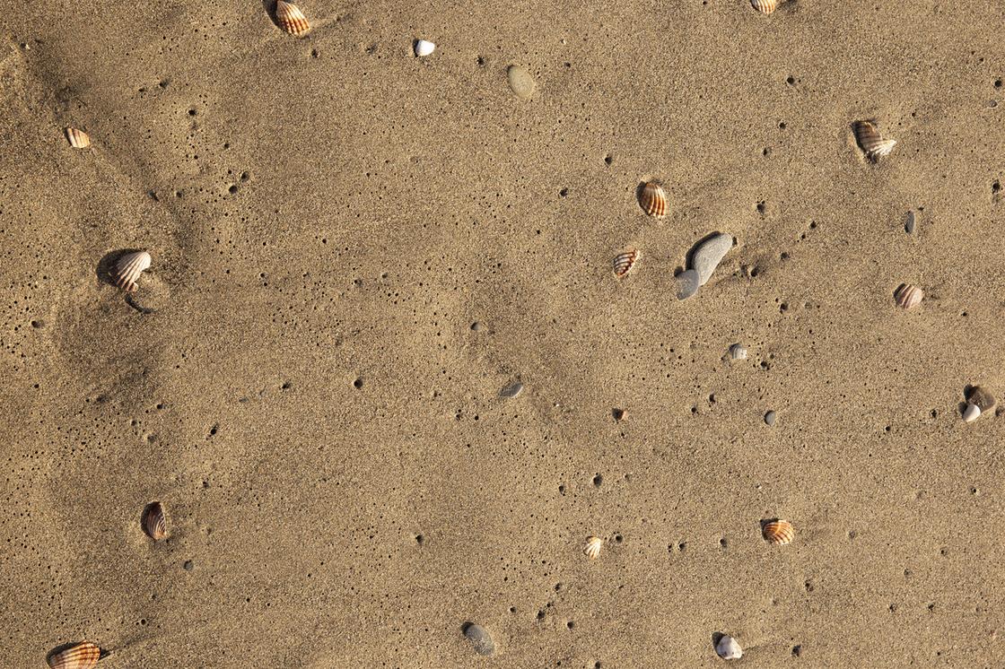 Песок с ракушками на берегу