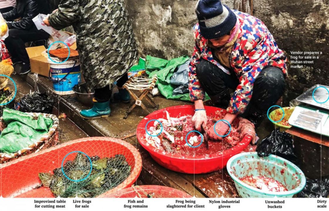 Фотографии скандально известного китайского рынка с "деликатесами" появились в Сети