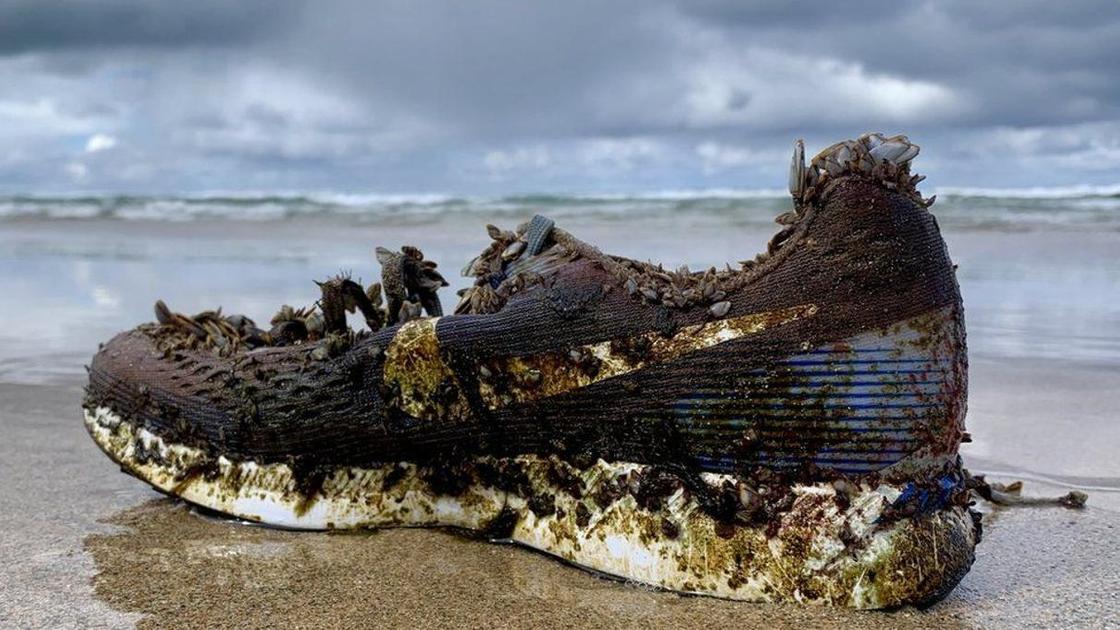 На пляжах по всему миру находят кроссовки Nike. Откуда они взялись?