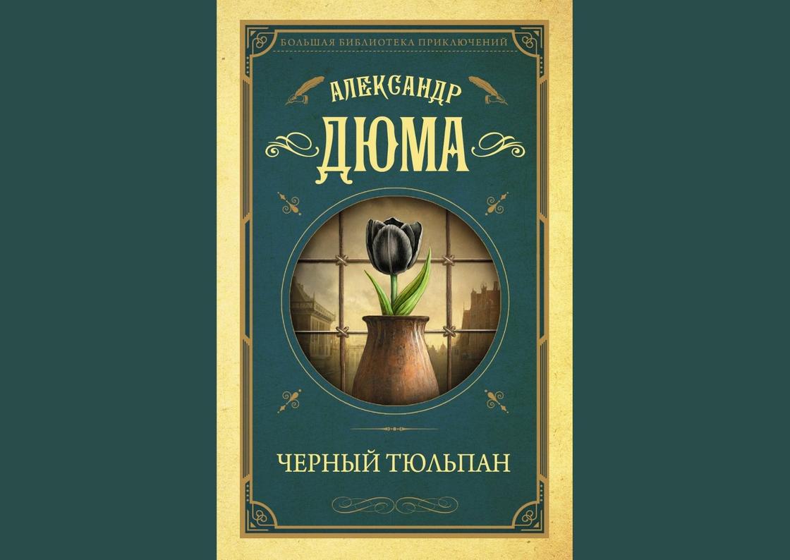 Обложка книги «Черный тюльпан»