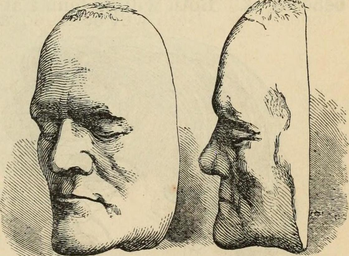 Иллюстрация из книги «Новая физиогномика» (1889)