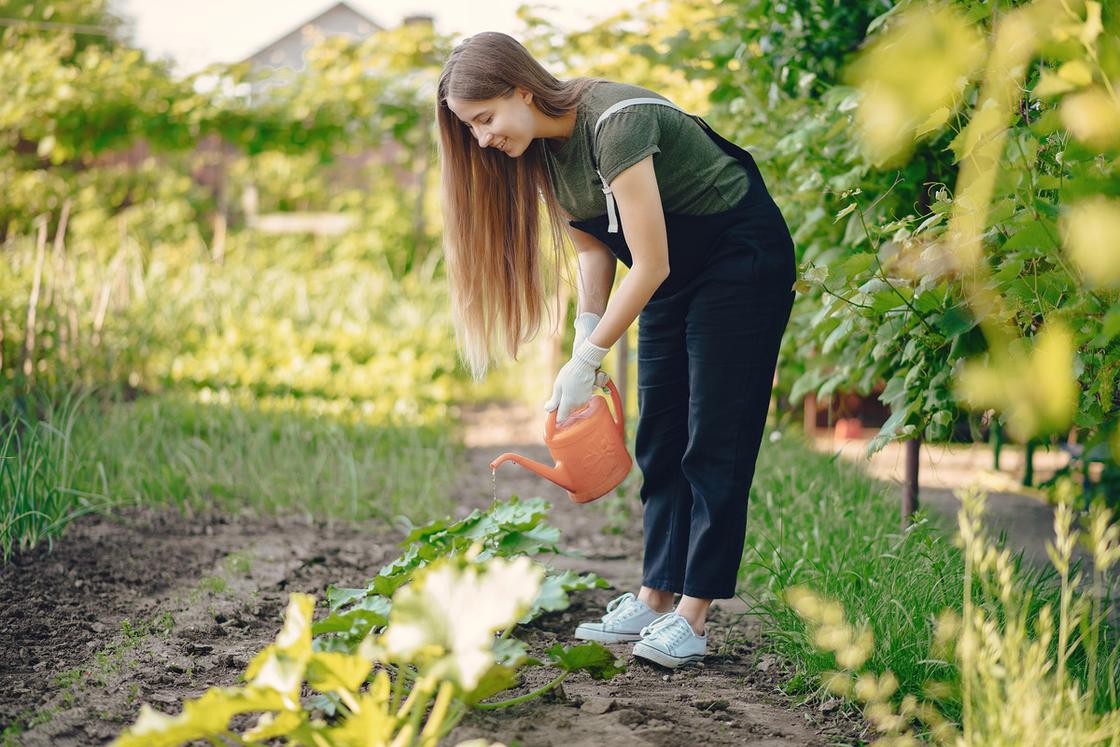 Девушка в огороде поливает из лейки растения