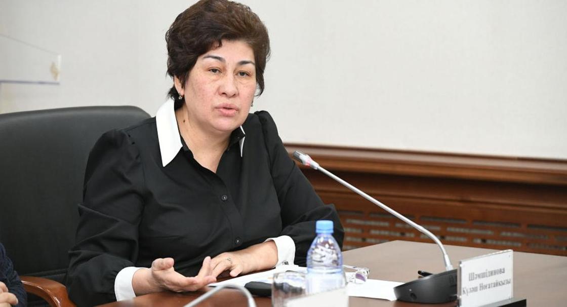 Будут ли казахстанских детей учить по-новому после смены министра