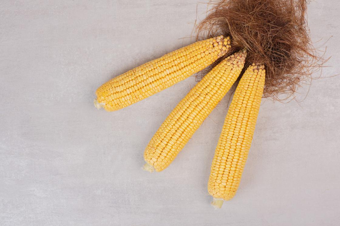 Три початка кукурузы без листьев