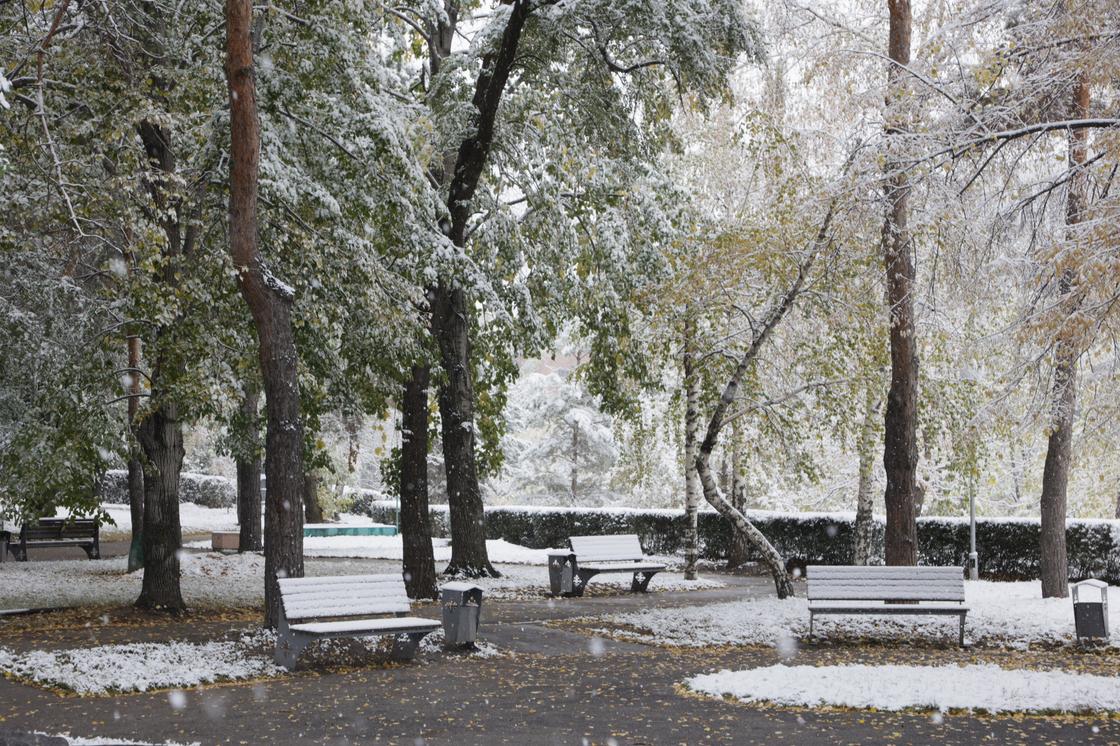Первый снег в Алматы
