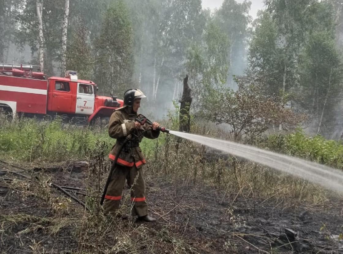 Пожарный тушит возгорание в лесу