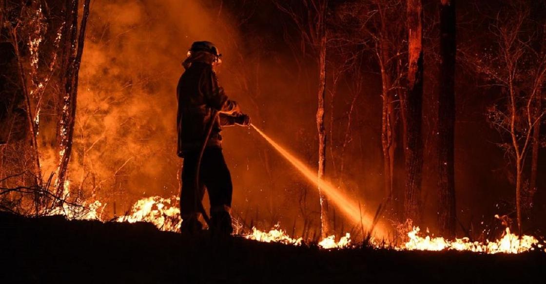Огонь от молний и молнии от огня. Пожары в Австралии замкнулись в порочный круг