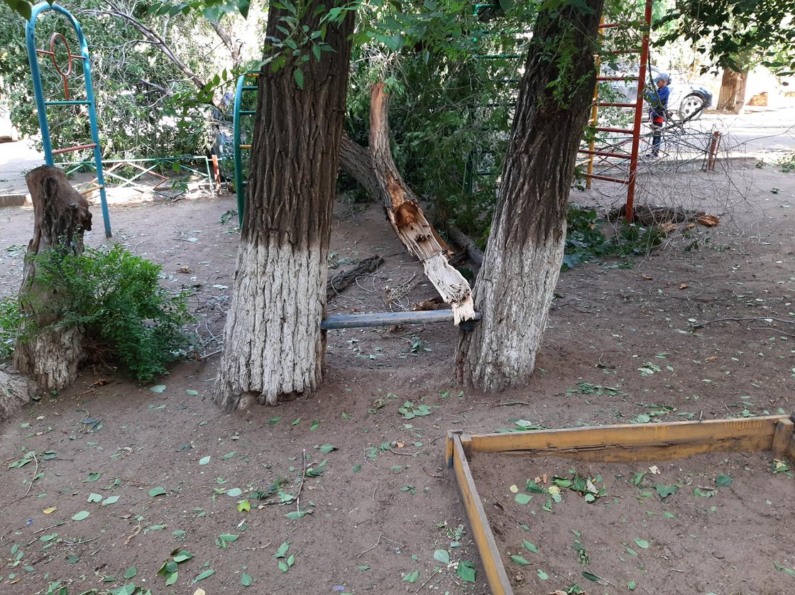 Деревья упали на детскую площадку и повредили два авто в Уральске (фото)