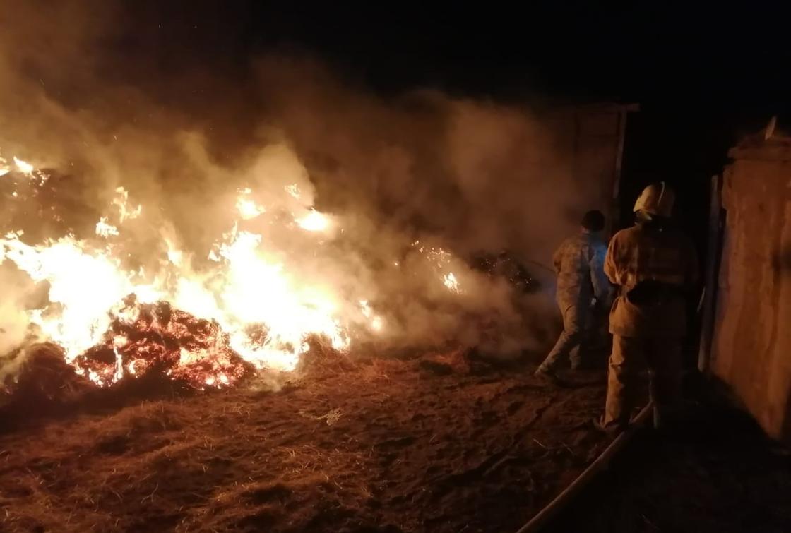 Сено горит в Атырауской области