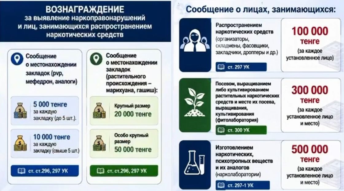 Инфографика