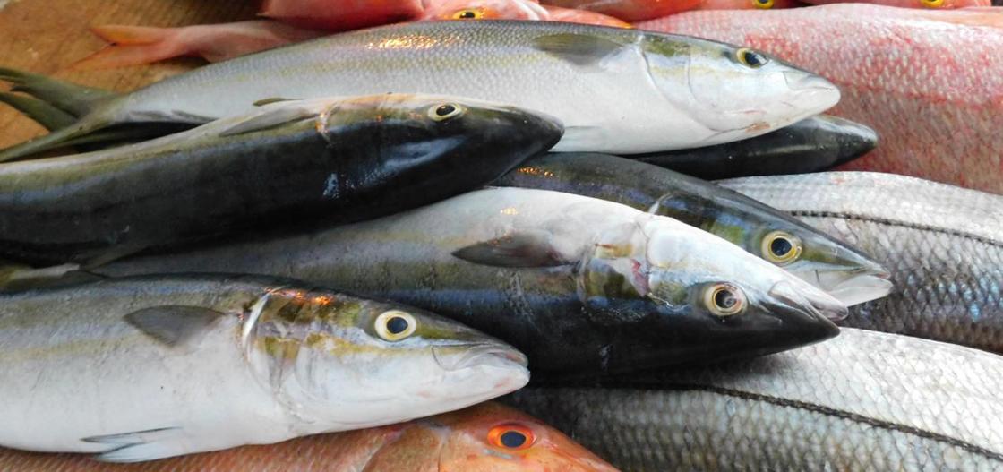 Опасную для рыбу нашли в подтопленном Мактааральском районе
