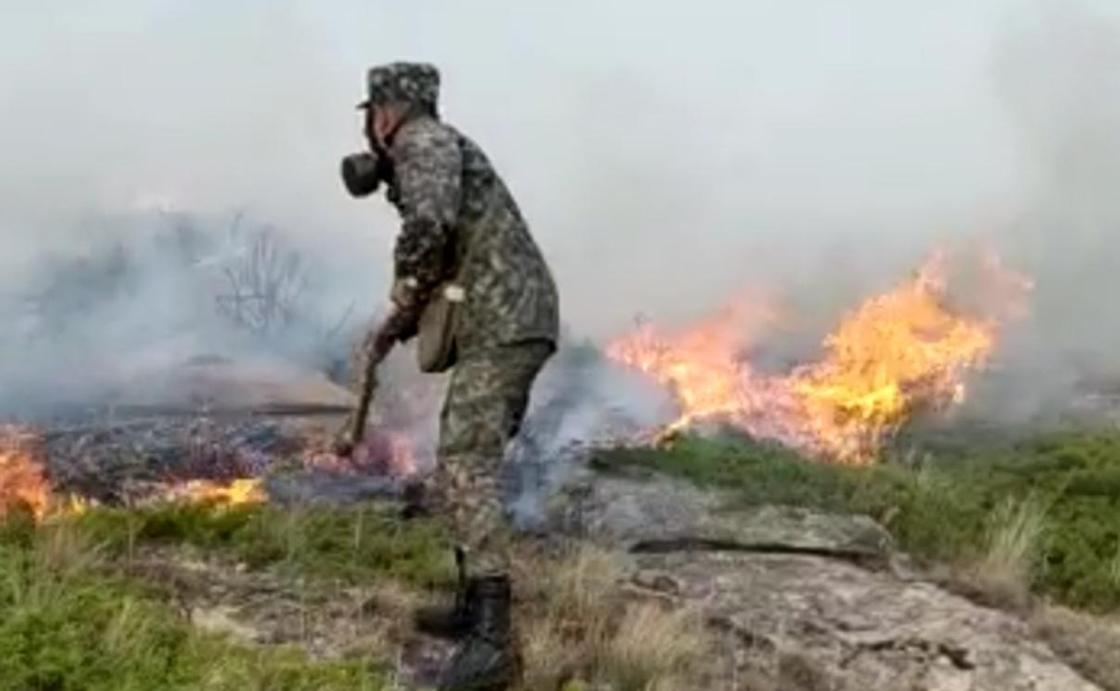 Пожар в Национальном природном парке в Карагандинской области потушен