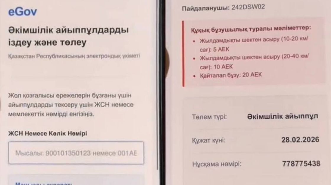 Фейковый сайт со штрафами