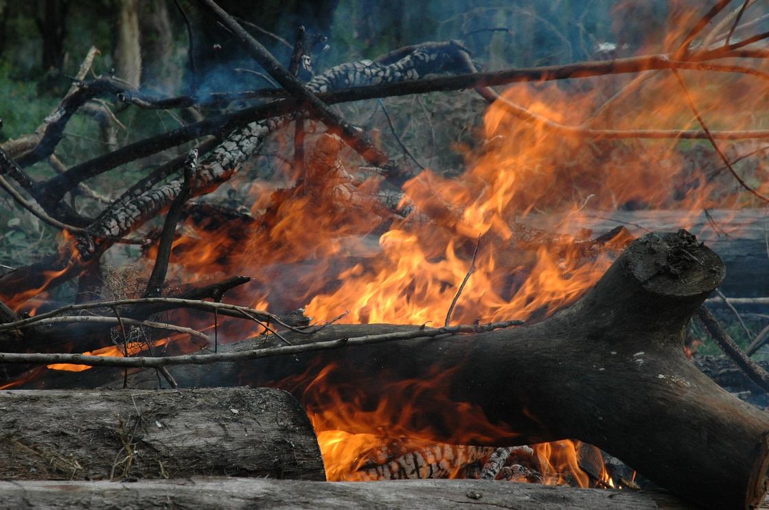 Ученые прогнозируют природные пожары на границе России и Казахстана этим летом