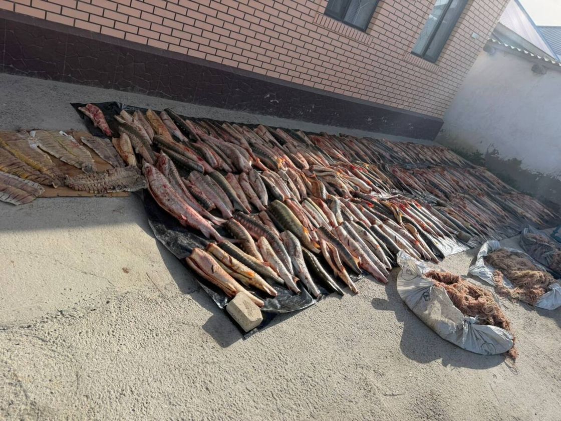 Рыба