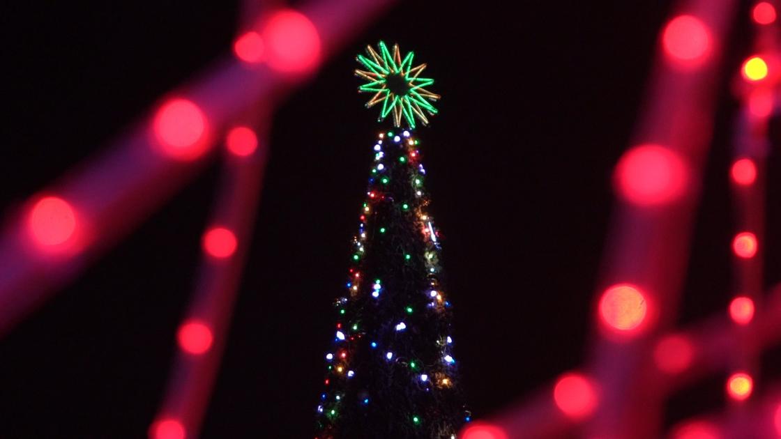 В Петропавловске торжественно зажгли новогоднюю елку