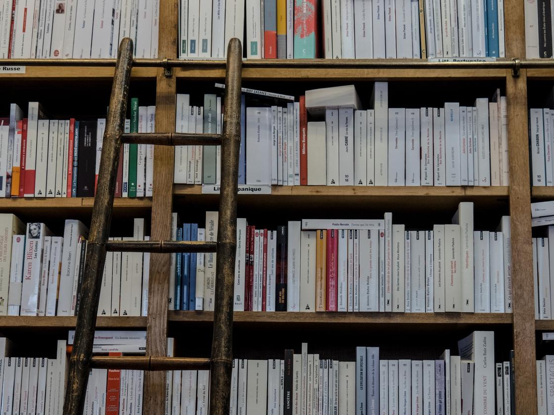 лестница и книжные полки лестница и книжные полки