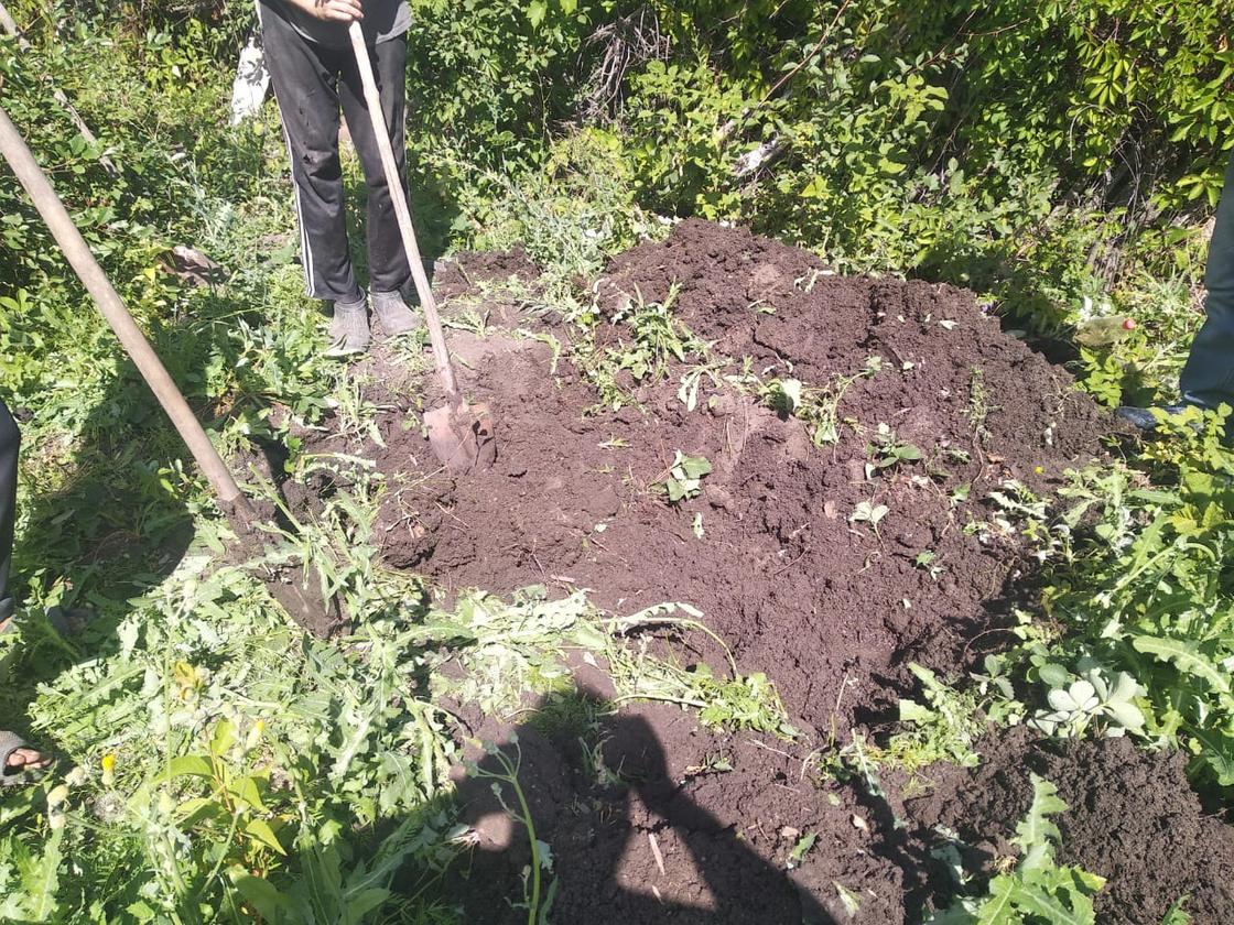 Умершую на даче женщину хотели похоронить в огороде в Уральске (фото)